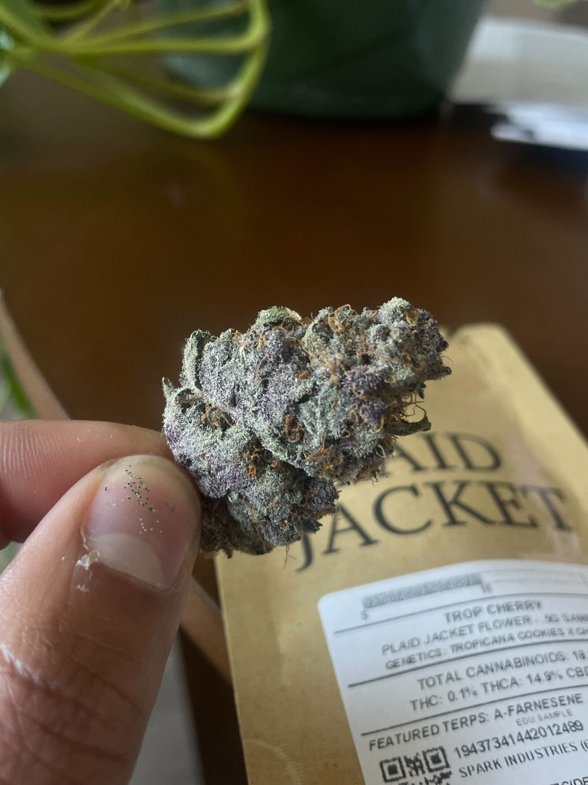Trop Cherry bud from Plaid Jacket, with a package in the background